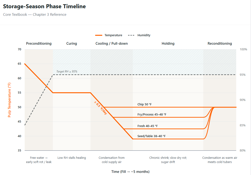 Storage-season phase timeline