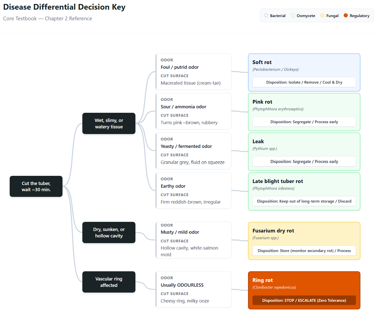 Disease differential decision key